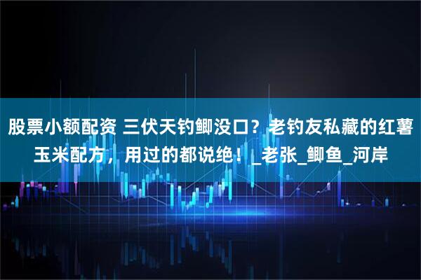 股票小额配资 三伏天钓鲫没口？老钓友私藏的红薯玉米配方，用过的都说绝！_老张_鲫鱼_河岸