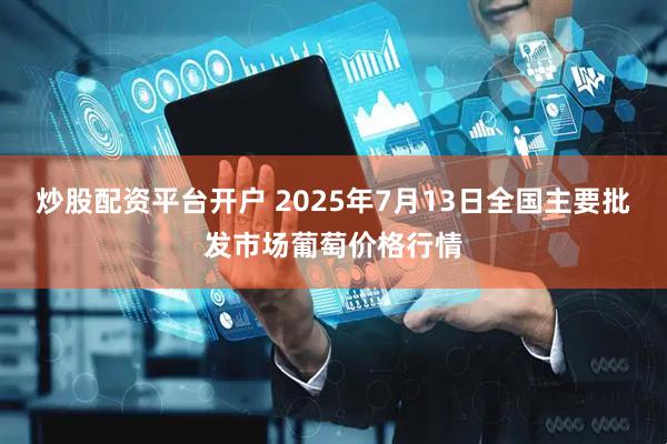 炒股配资平台开户 2025年7月13日全国主要批发市场葡萄价格行情