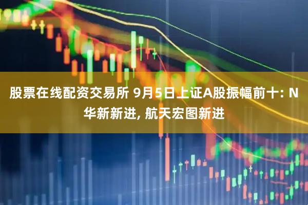 股票在线配资交易所 9月5日上证A股振幅前十: N华新新进, 航天宏图新进